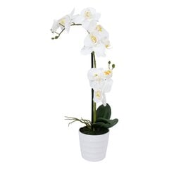 Dirbtinis augalas Orchidėja, 51 cm kaina ir informacija | Dirbtinės gėlės | pigu.lt