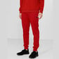 Kelnės vyrams 4F H4L22-SPMD350, raudonos цена и информация | Sportinė apranga vyrams | pigu.lt