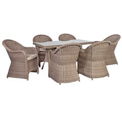 Садовая мебель TOSCANA (стол и 6 стульев) цена и информация | Комплекты уличной мебели | pigu.lt