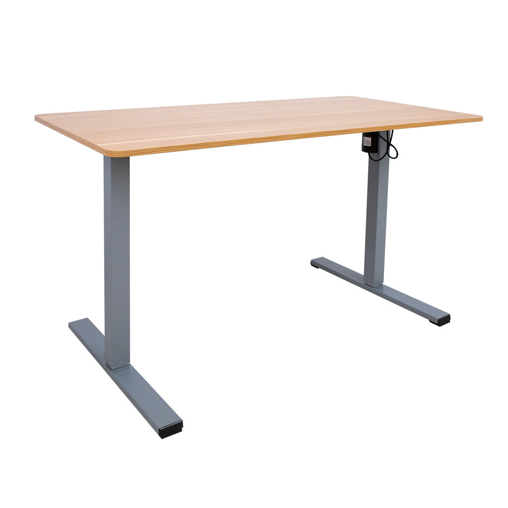 Reguliuojamo aukščio rašomasis stalas ERGO OPTIMAL su 1 varikliu 120x60cm, rudas/pilkas kaina ir informacija | Kompiuteriniai, rašomieji stalai | pigu.lt