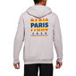 Sportinis džemperis vyrams ASICS Paris FZ Hoodie M 2011B180-021, pilkas kaina ir informacija | Sportinė apranga vyrams | pigu.lt