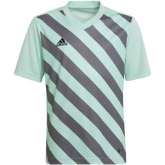 Vaikiški marškinėliai Adidas Entrada 22 Graphic Jersey HF0127, mėtinė/pilka kaina ir informacija | Futbolo apranga ir kitos prekės | pigu.lt