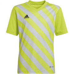 Vaikiški marškinėliai Adidas Entrada 22 Graphic Jersey HF0133, geltona/pilka kaina ir informacija | Adidas teamwear Spоrto prekės | pigu.lt