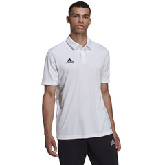 Vyriški marškinėliai Adidas Entrada 22 Polo HC5067, balti kaina ir informacija | Vyriški marškinėliai | pigu.lt