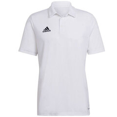 Vyriški marškinėliai Adidas Entrada 22 Polo HC5067, balti kaina ir informacija | Vyriški marškinėliai | pigu.lt
