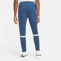 Мужские брюки Nike DF Academy M CW6122 410, синие цена и информация | Мужская спортивная одежда | pigu.lt
