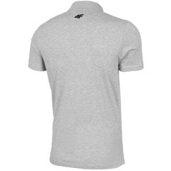 Мужская футболка 4F Светло-серый H4L22 TSM355 27M цена и информация | Мужские футболки | pigu.lt
