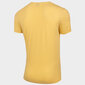 Marškinėliai vyrams Outhorn M HOL22-TSM623 72S цена и информация | Vyriški marškinėliai | pigu.lt