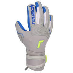 Вратарские перчатки Reusch Attrakt Freegel, синие цена и информация | Перчатки вратаря | pigu.lt