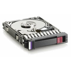 Kietasis diskas HPE ‎J9F43A 6 TB BFN-BB-S5613576 kaina ir informacija | Vidiniai kietieji diskai (HDD, SSD, Hybrid) | pigu.lt