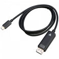 Adapteris V7 V7USBCDP14-1M USB C – DisplayPort, 1 m