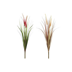Dekoratyvinis augalas DKD Home Decor, 10 x 10 x 71 cm kaina ir informacija | Dirbtinės gėlės | pigu.lt