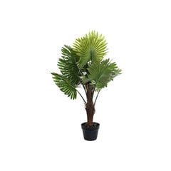Декоративное растение DKD Home Decor Чёрный Коричневый Зеленый PVC Полипропилен (пп) (80 x 70 x 100 cm) цена и информация | Искусственные цветы | pigu.lt