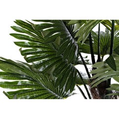 Декоративное растение DKD Home Decor Чёрный Коричневый Зеленый PVC Полипропилен (пп) (80 x 70 x 100 cm) цена и информация | Искусственные цветы | pigu.lt