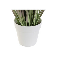 Декоративное растение DKD Home Decor Лиловый Белый Зеленый PVC (44 x 44 x 76 cm) цена и информация | Искусственные цветы | pigu.lt