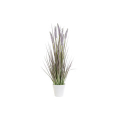 Декоративное растение DKD Home Decor Лиловый Белый Зеленый PVC (44 x 44 x 76 cm) цена и информация | Искусственные цветы | pigu.lt