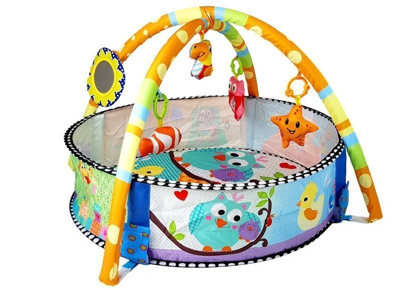 Veiklos centras - baseinas Lean Toys kaina ir informacija | Žaislai kūdikiams | pigu.lt