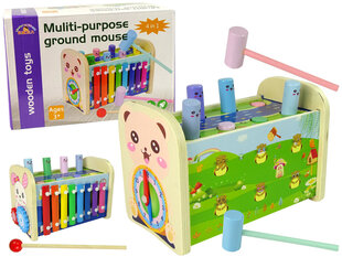 Деревянная игрушка для девочек Lean Toys Четыре в одном цена и информация | Игрушки для девочек | pigu.lt