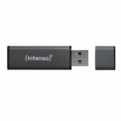 USB atmintukas Intenso 3521495 128 GB kaina ir informacija | USB laikmenos | pigu.lt