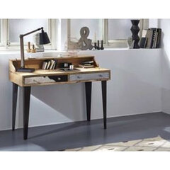 Письменный стол DKD Home Decor (120 x 54 x 94 cm) цена и информация | Компьютерные, письменные столы | pigu.lt