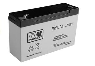 Гелевый аккумулятор AGM 6V12Ah цена и информация | Akumuliatoriai | pigu.lt