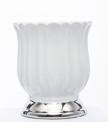 Керамический горшок 15,5 x 17,5(A) cm, белый/серебристый цена и информация | Вазоны | pigu.lt
