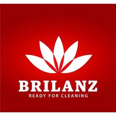 Чехол для доски BRILANZ  цена и информация | Brilanz Товары для сада | pigu.lt