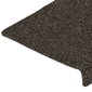 Laiptų kilimėliai, 15 vnt, 65x25 cm kaina ir informacija | Kilimai | pigu.lt
