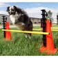 Šunų dresavimo rinkinys Altranet FitPaws, 21 vnt. kaina ir informacija | Dresūros priemonės šunims | pigu.lt