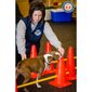 Šunų dresavimo rinkinys Altranet FitPaws, 21 vnt. kaina ir informacija | Dresūros priemonės šunims | pigu.lt