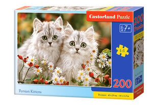 Dėlionė Persų katės 200d. kaina ir informacija | Dėlionės (puzzle) | pigu.lt