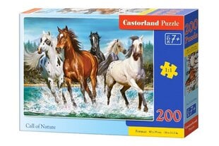 Dėlionė Castorland Šuoliuojantys žirgai, 200 detalių kaina ir informacija | Dėlionės (puzzle) | pigu.lt