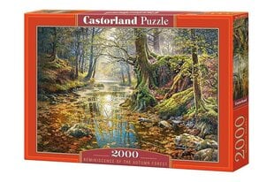Dėlionė Castorland Puzzle Reminiscence of the Autumn Forest kaina ir informacija | Dėlionės (puzzle) | pigu.lt