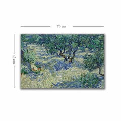 Reprodukcija Olive Orchard kaina ir informacija | Reprodukcijos, paveikslai | pigu.lt