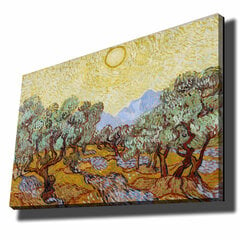 Reprodukcija Olive Trees with Yellow Sky and Sun kaina ir informacija | Reprodukcijos, paveikslai | pigu.lt