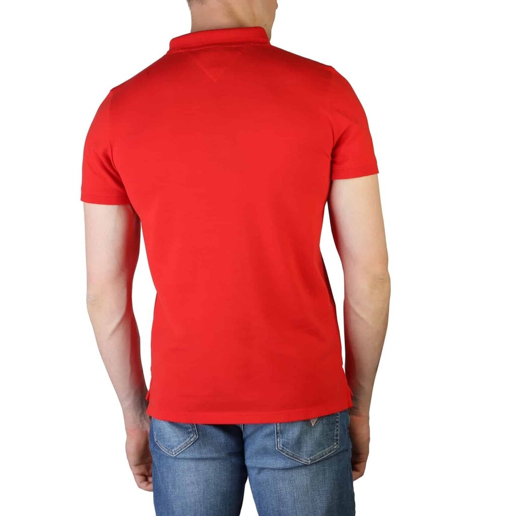 Marškinėliai vyrams Tommy Hilfiger цена и информация | Vyriški marškinėliai | pigu.lt