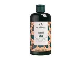 Shea Intense Repair Shampoo kaina ir informacija | Šampūnai | pigu.lt