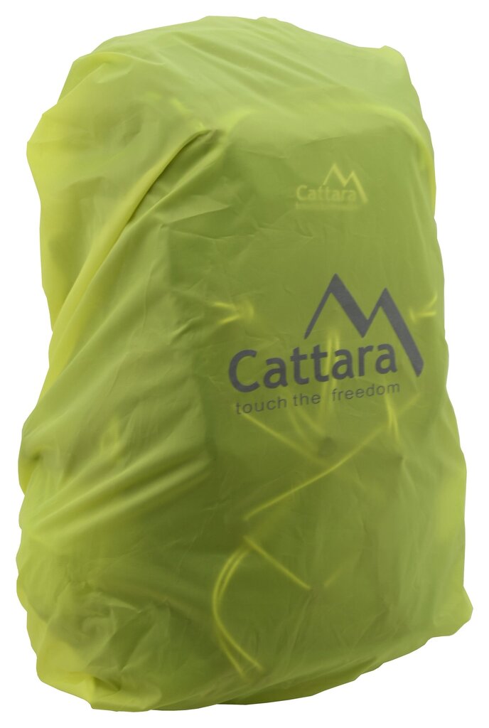Kuprinė Cattara Green, žalia kaina ir informacija | Lagaminai, kelioniniai krepšiai | pigu.lt