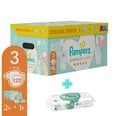 Sauskelnės Pampers Premium Care 3 dydis, 6–10 kg, 120 Vnt. + DOVANA Aqua Pure 48 vnt. servetėlės kūdikiams