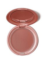 Daugiafunkcinė makiažo priemonė lūpoms ir skruostams Stila Convertible Colour Dual Lip&Cheek, 4,25 g, Lillium kaina ir informacija | Bronzantai, skaistalai | pigu.lt