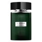 Tualetinis vanduo vyrams Rochas L'homme Aromatic Touch EDT, 100 ml kaina ir informacija | Kvepalai vyrams | pigu.lt