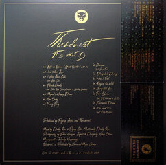 Vinilinė plokštelė Thundercat - It Is What It Is, Colored vinyl, LP, 12" kaina ir informacija | Vinilinės plokštelės, CD, DVD | pigu.lt