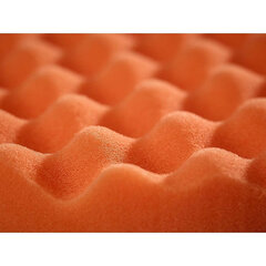 Polishing Sponge Formula PS150 150 mm kaina ir informacija | Autochemija | pigu.lt