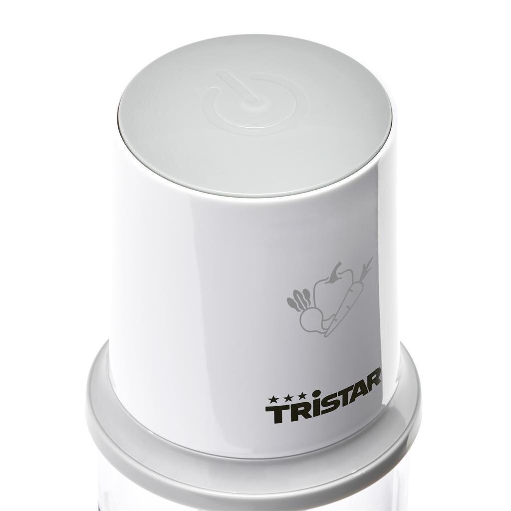 Tristar ‎BL-4020 kaina ir informacija | Trintuvai, smulkintuvai | pigu.lt