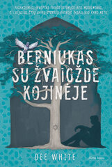 Berniukas su žvaigžde kojinėje цена и информация | Книги для подростков и молодежи | pigu.lt