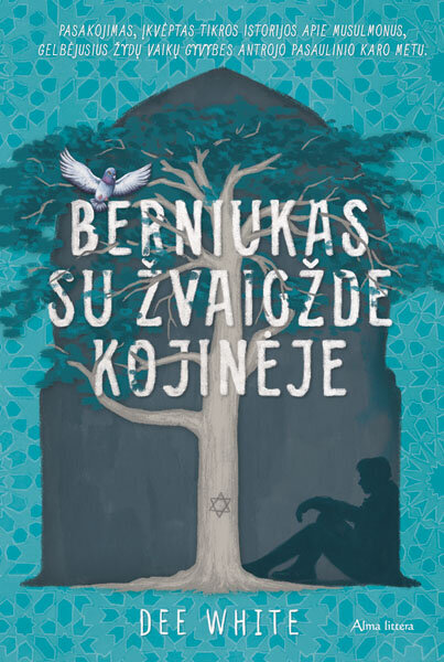 Berniukas su žvaigžde kojinėje kaina ir informacija | Knygos paaugliams ir jaunimui | pigu.lt