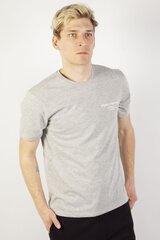 Marškinėliai vyrams Ltb, pilki kaina ir informacija | Vyriški marškinėliai | pigu.lt