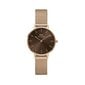 Laikrodis moterims Daniel Wellington DW00100476 цена и информация | Moteriški laikrodžiai | pigu.lt