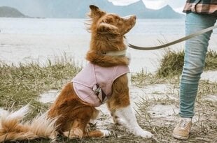 Vėsinanti liemenė Hurtta Cooling Wrap, įvairių dydžių, rožinė цена и информация | Одежда для собак | pigu.lt