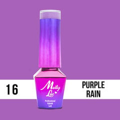 Gelinis nagų lakas Molly Lac - Cocktails - Drinks - Purple Rain Nr 16, 5ml kaina ir informacija | Nagų lakai, stiprintojai | pigu.lt